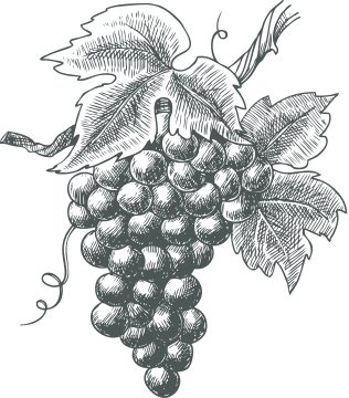 grappe raisin vin